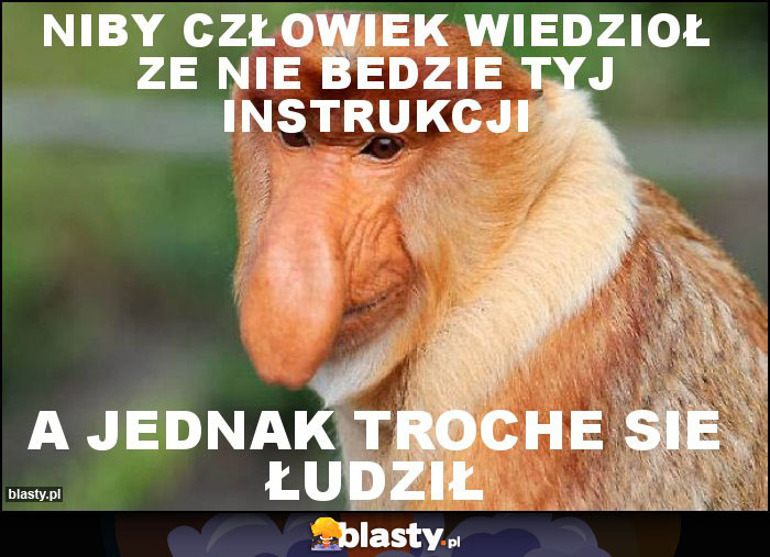 Niby człowiek wiedzioł ze nie bedzie tyj instrukcji