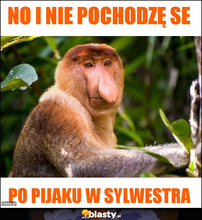 No i nie pochodzę se