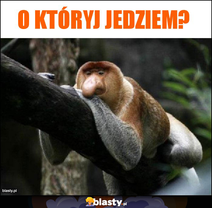 O któryj jedziem?