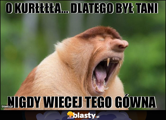 o kurłłłła... dlatego był tani