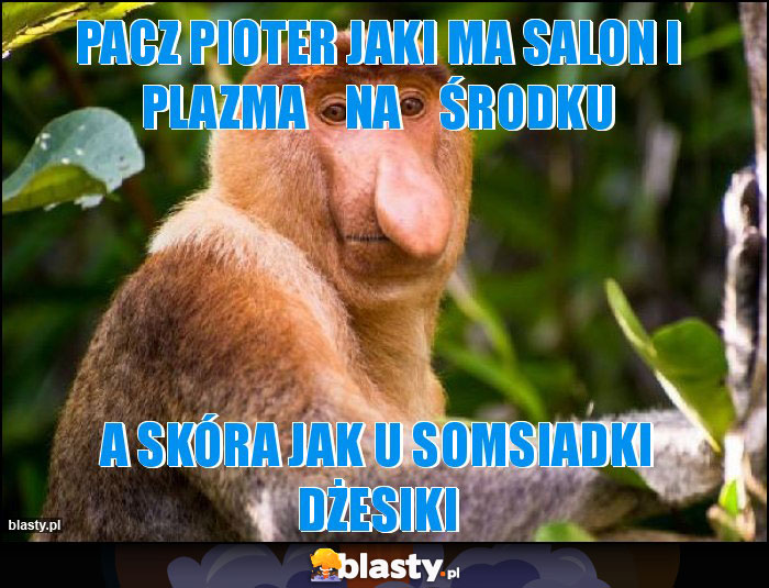 pacz pioter jaki ma salon i plazma    na    środku