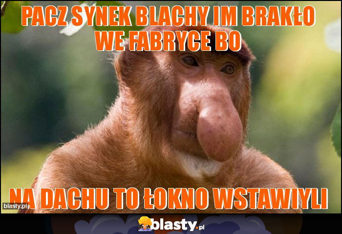 pacz synek blachy im brakło we fabryce bo