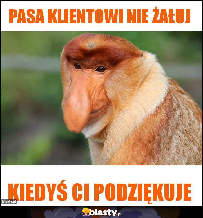 Pasa klientowi nie żałuj