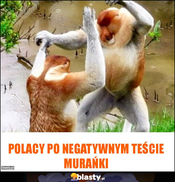 Polacy po negatywnym teście Murańki