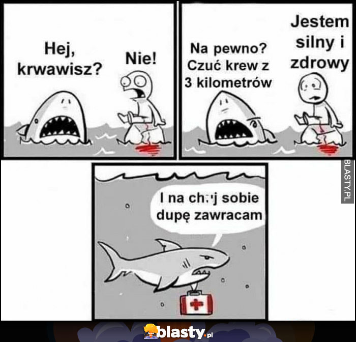 Rekin, hej krwawisz? Nie! Na pewno? Czuć krew z 3 kilometrów, po co ja sobie dupę zawracam komiks