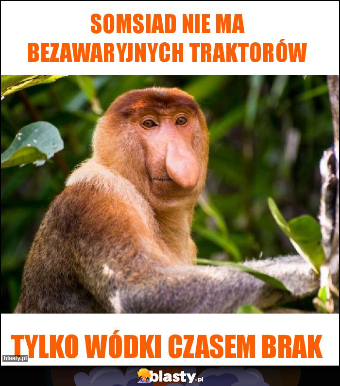 Somsiad nie ma bezawaryjnych traktorów