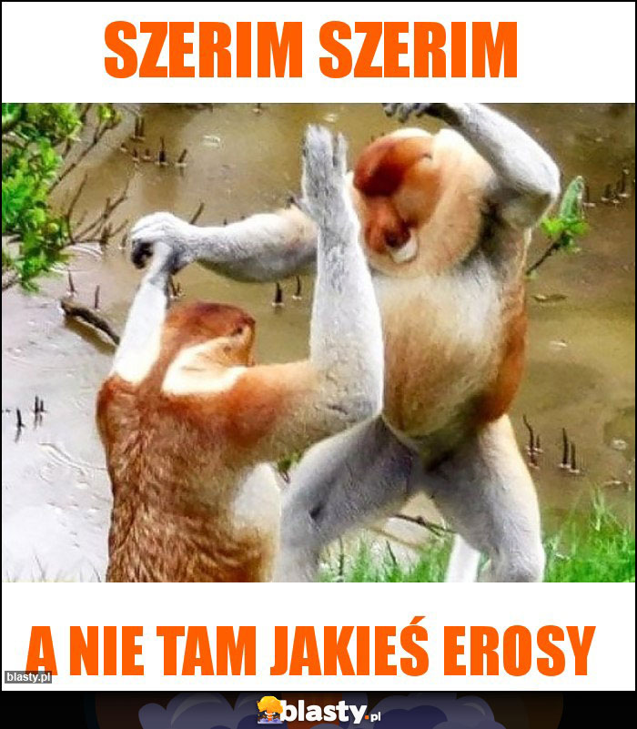 Szerim Szerim