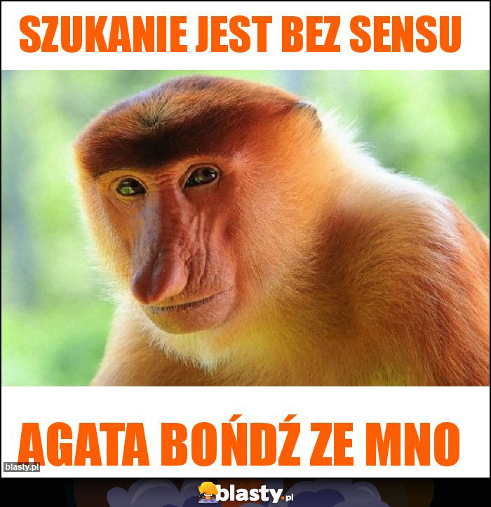 Szukanie jest bez sensu