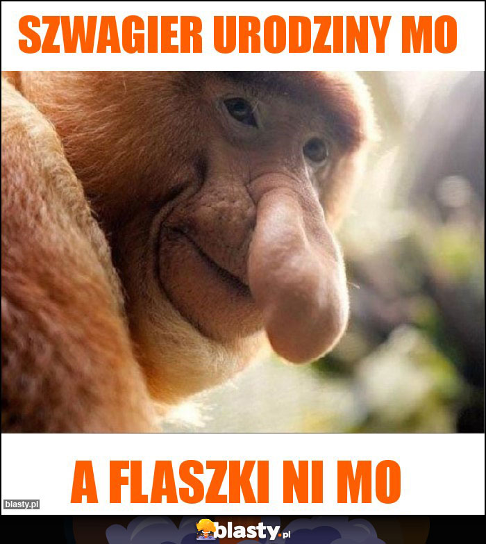 Szwagier urodziny mo