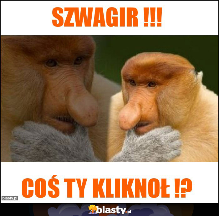 Szwagir !!!