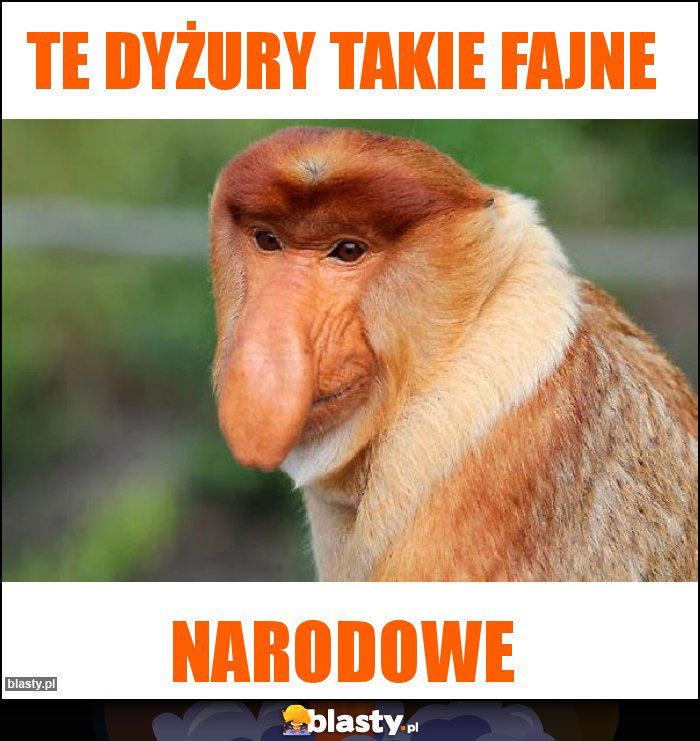 Te dyżury takie fajne