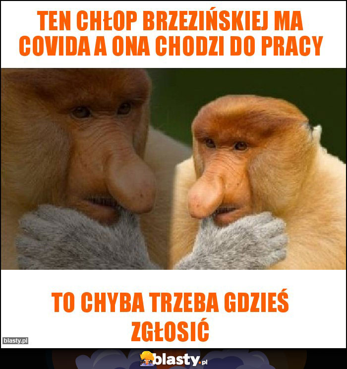 Ten chłop Brzezińskiej ma covida a ona chodzi do pracy