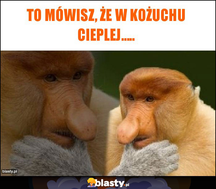 To mówisz, że w kożuchu cieplej.....