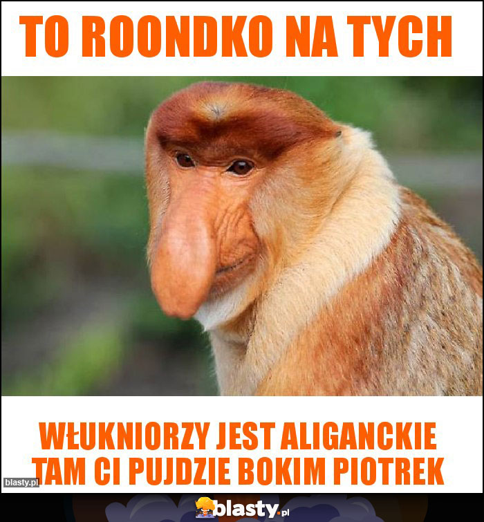 TO ROONDKO NA TYCH