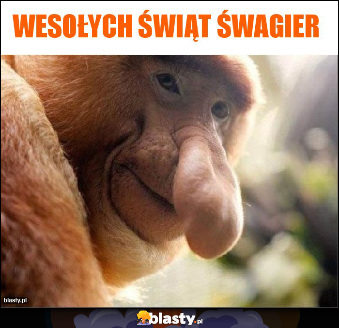 Wesołych świąt śwagier