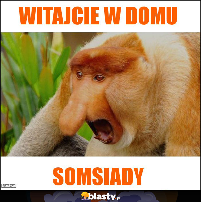 Witajcie w domu