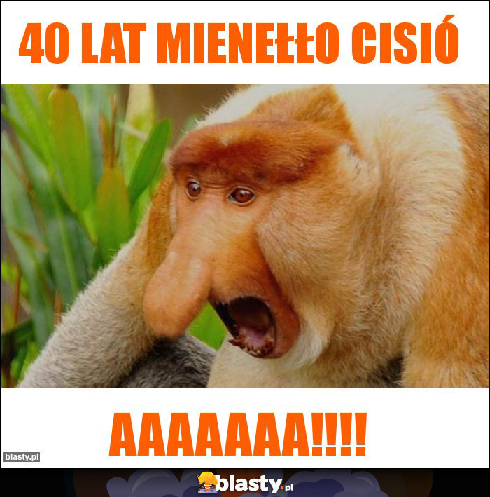 40 lat mienełło Cisió