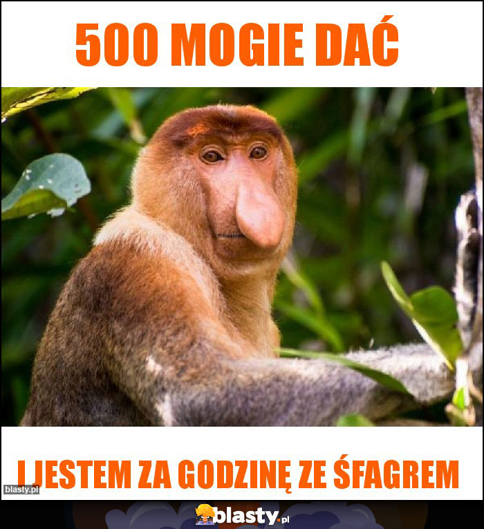 500 mogie dać