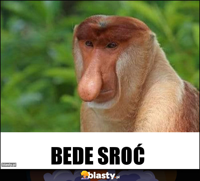 bede sroć