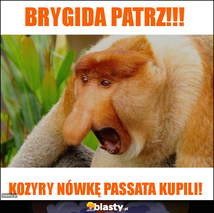 Brygida patrz!!!