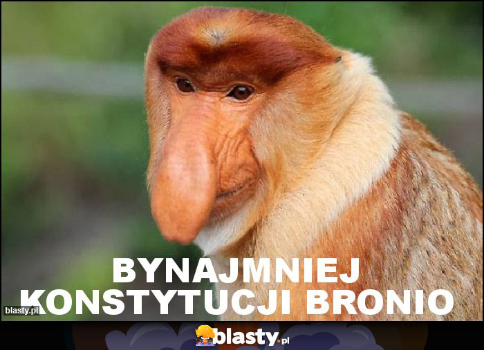 BYNAJMNIEJ KONSTYTUCJI BRONIO