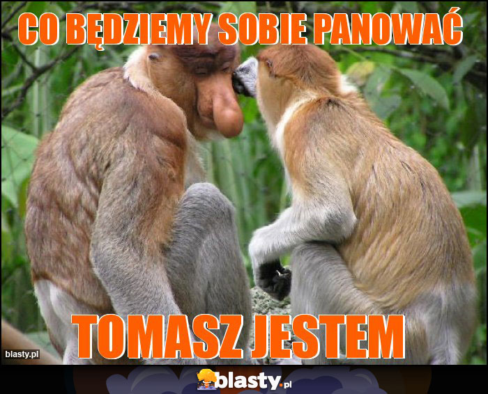 CO BĘDZIEMY SOBIE PANOWAĆ