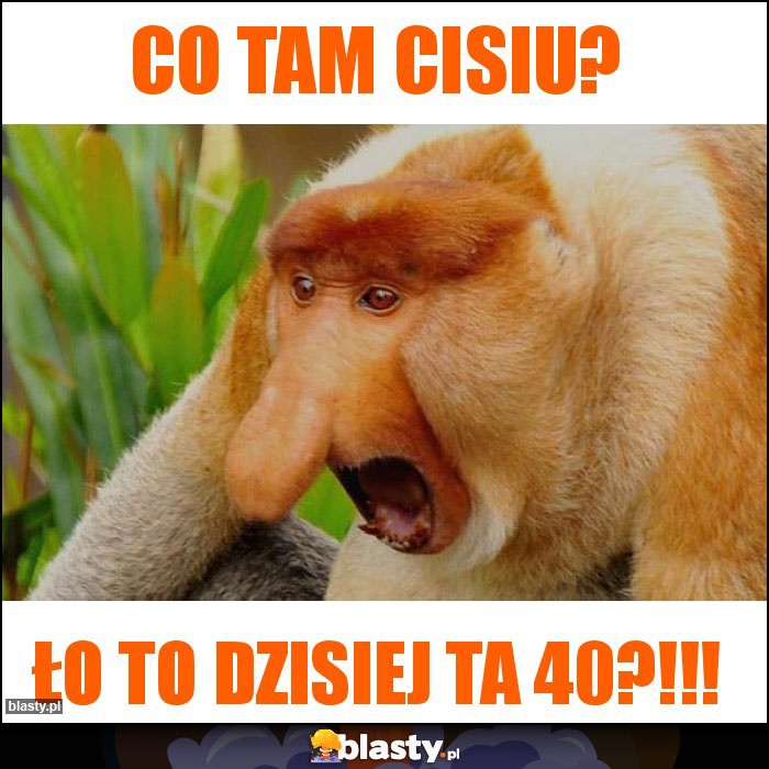 Co tam Cisiu?