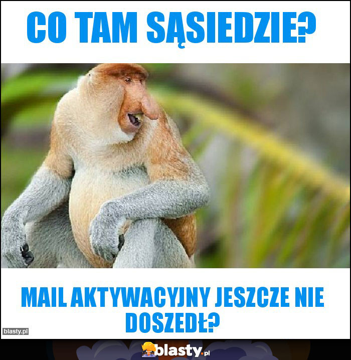 Co tam sąsiedzie?