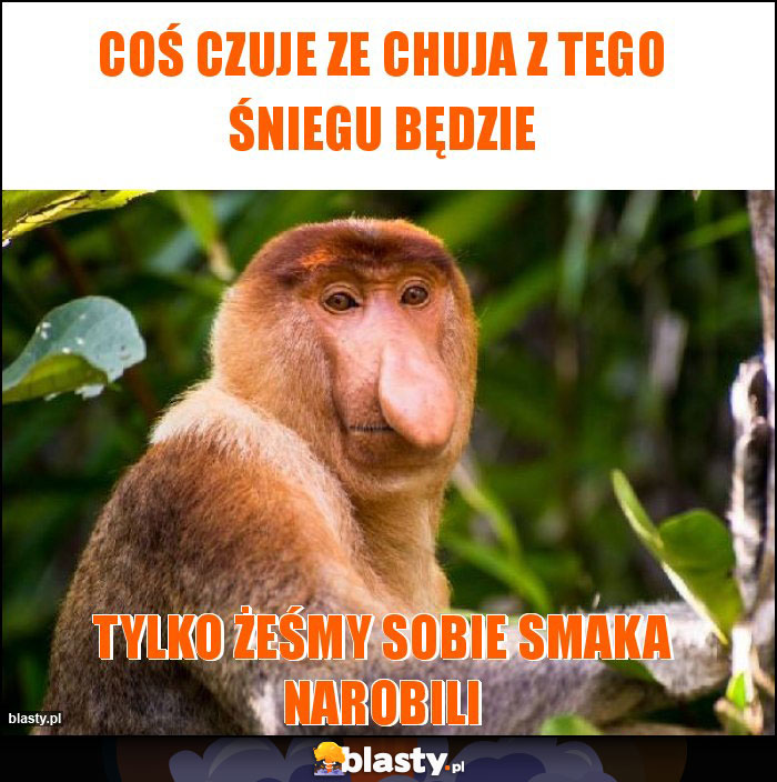 Coś czuje ze chuja z tego śniegu będzie