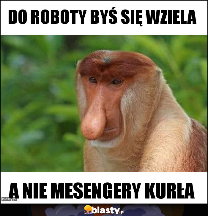 Do roboty byś się wziela