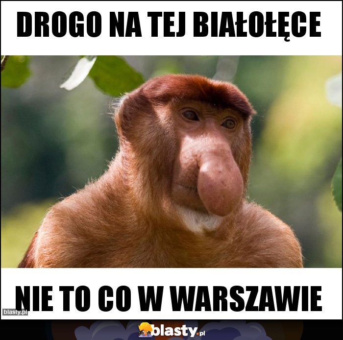 Drogo na tej Białołęce