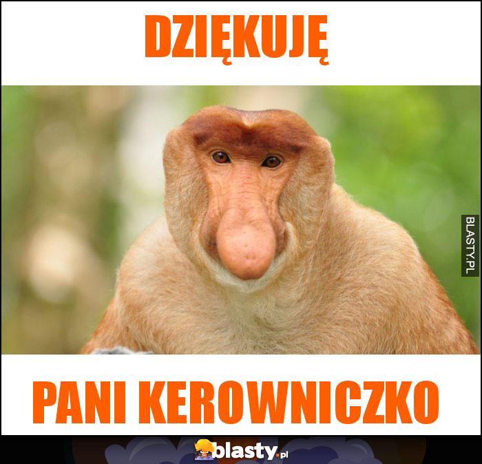 Dziękuję