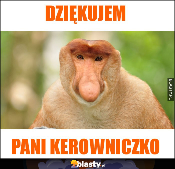 Dziękujem