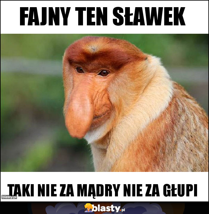 Fajny ten Sławek