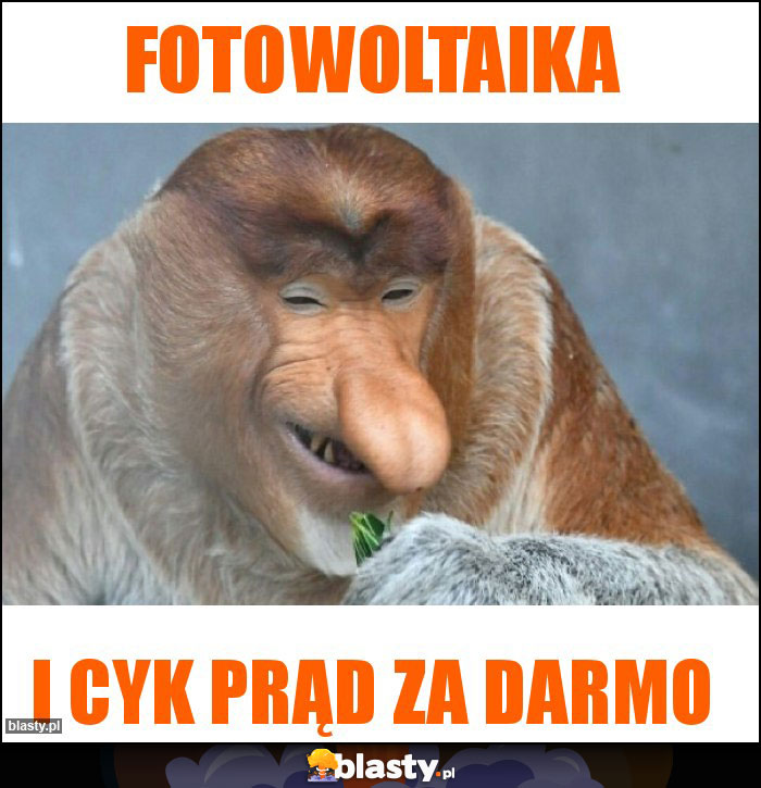 Fotowoltaika