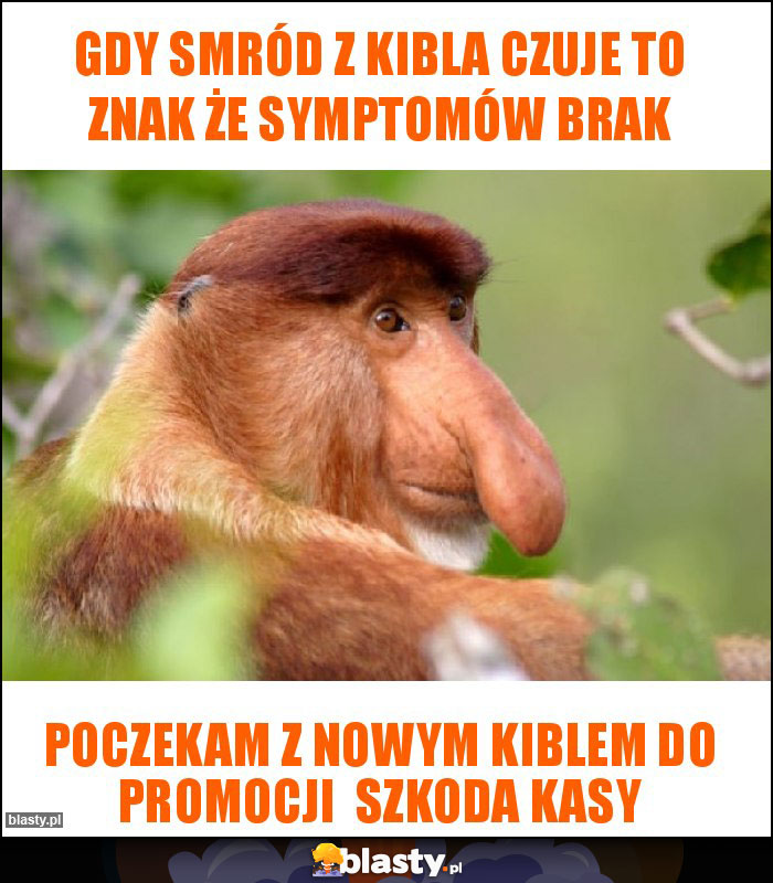 Gdy smród z kibla czuje to znak że symptomów brak