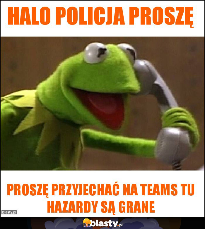 Halo policja proszę