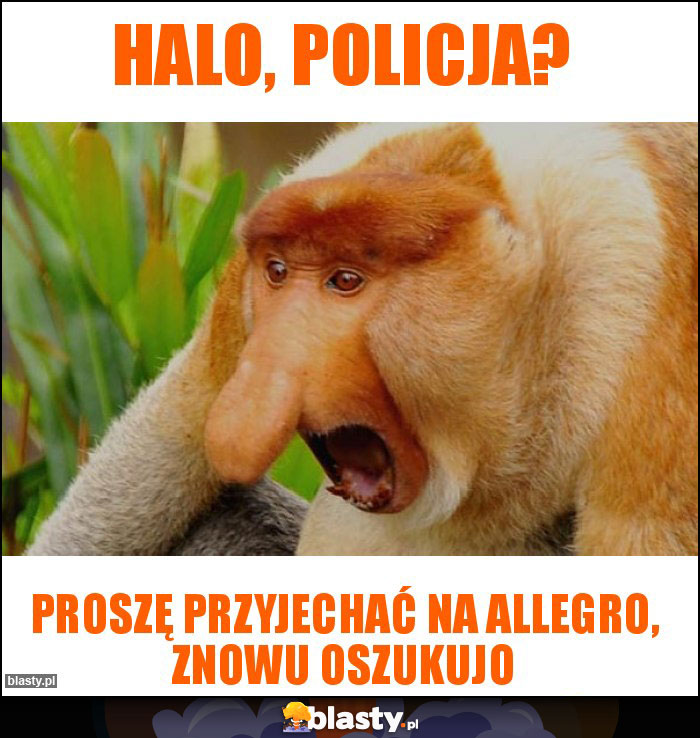 HALO, POLICJA?