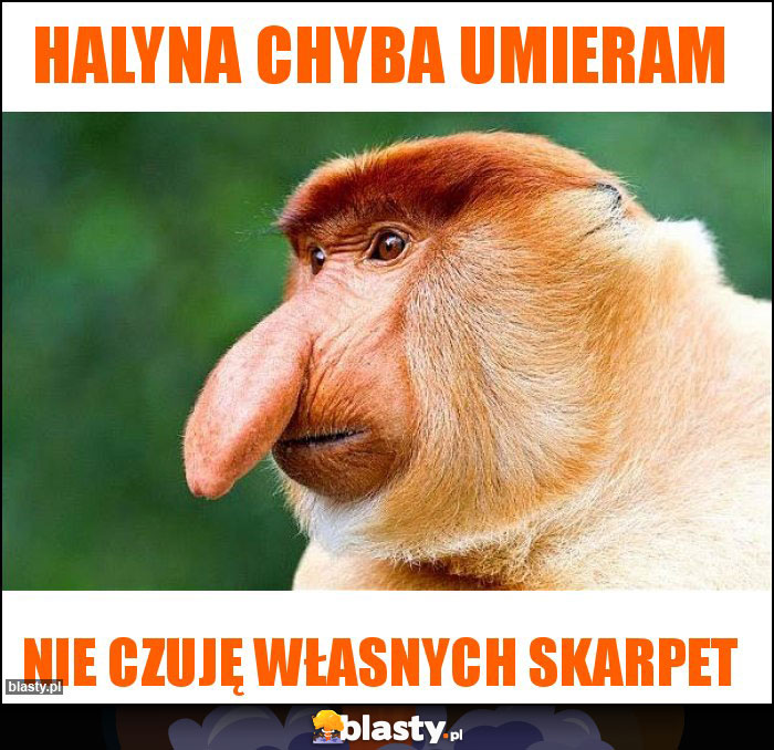 Halyna chyba umieram