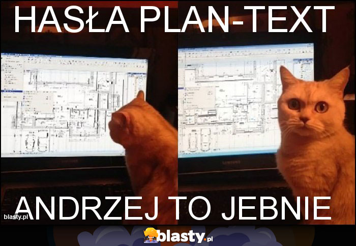 Hasła plan-text