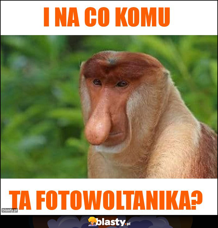 i na co komu