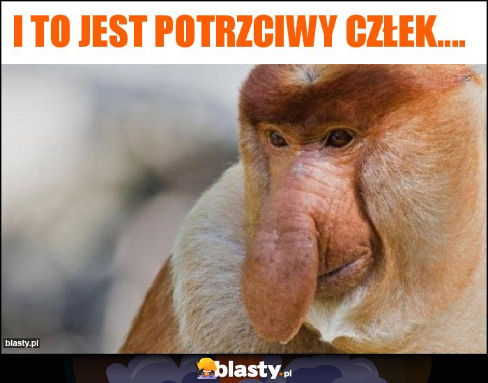 i to jest potrzciwy człek....