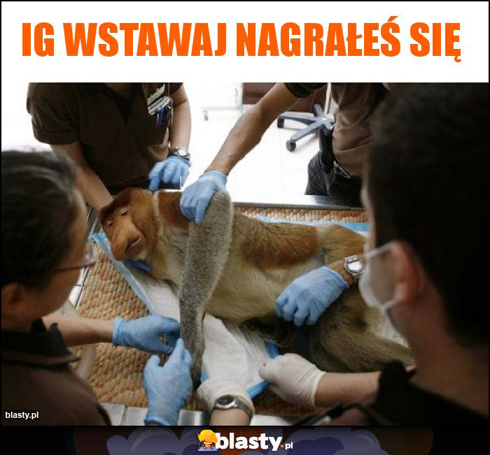 IG wstawaj nagrałeś się