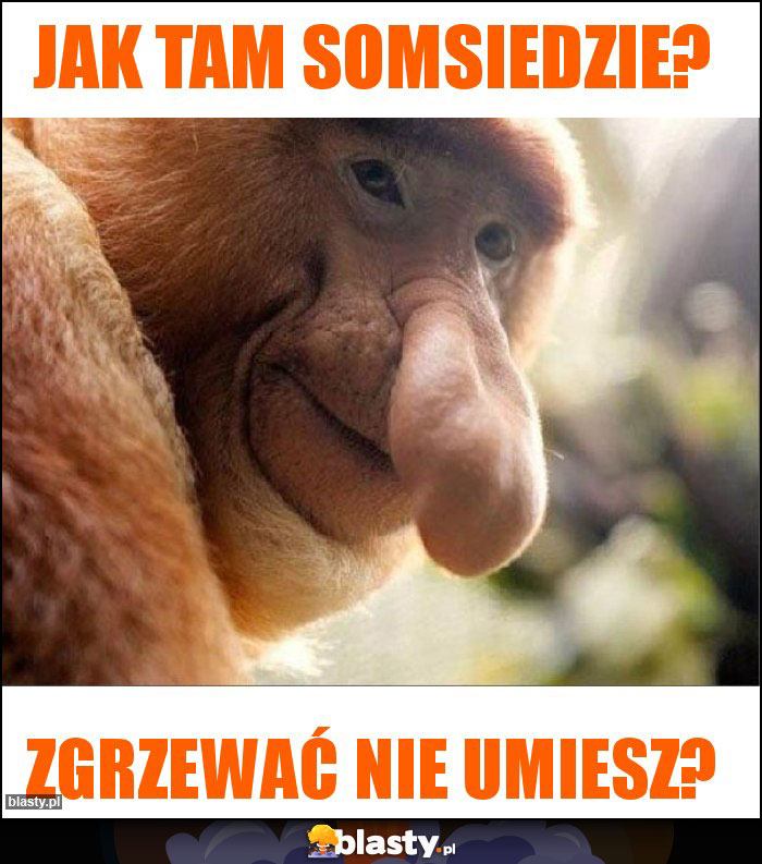 Jak tam somsiedzie?