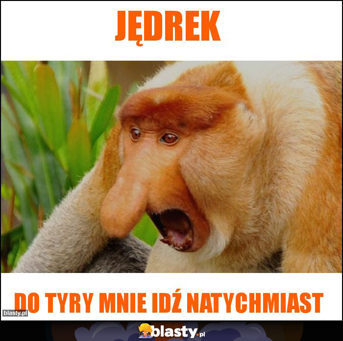 Jędrek