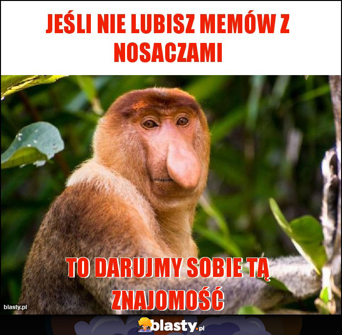 Jeśli nie lubisz memów z nosaczami