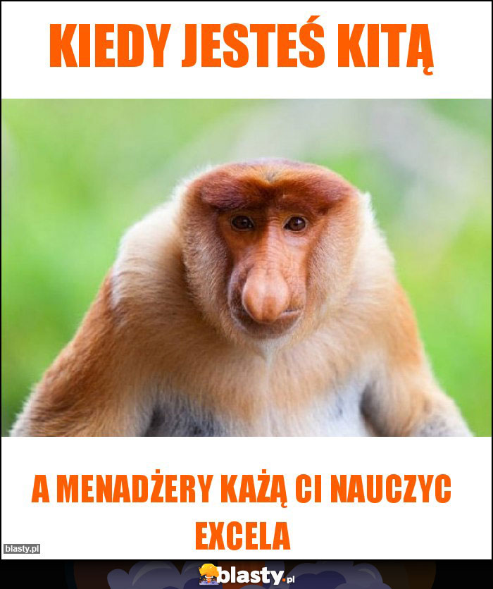 Kiedy jesteś Kitą