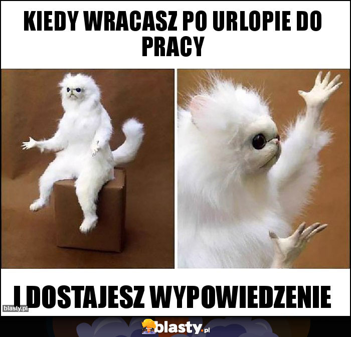 Kiedy wracasz po urlopie do pracy