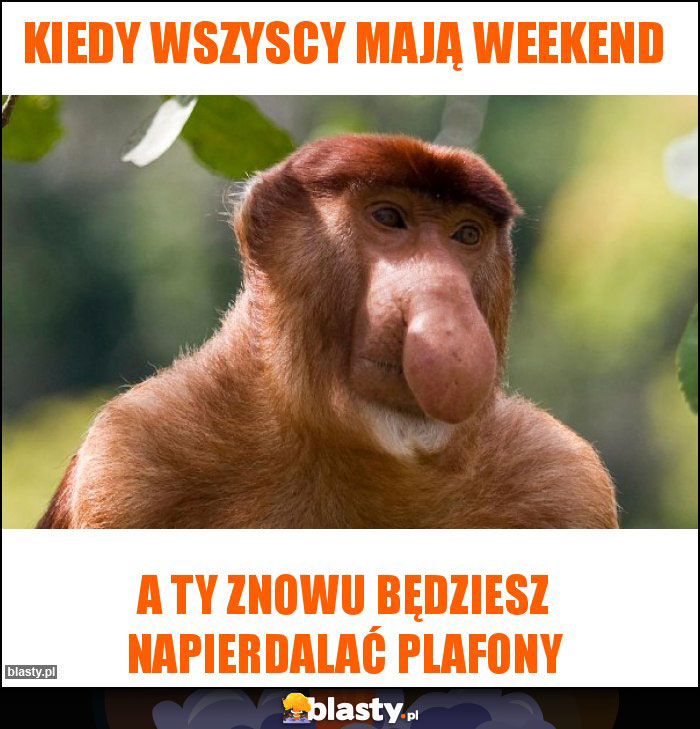 Kiedy wszyscy mają weekend