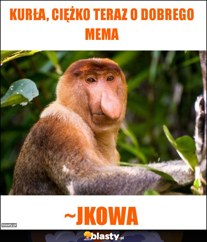 Kurła, ciężko teraz o dobrego mema